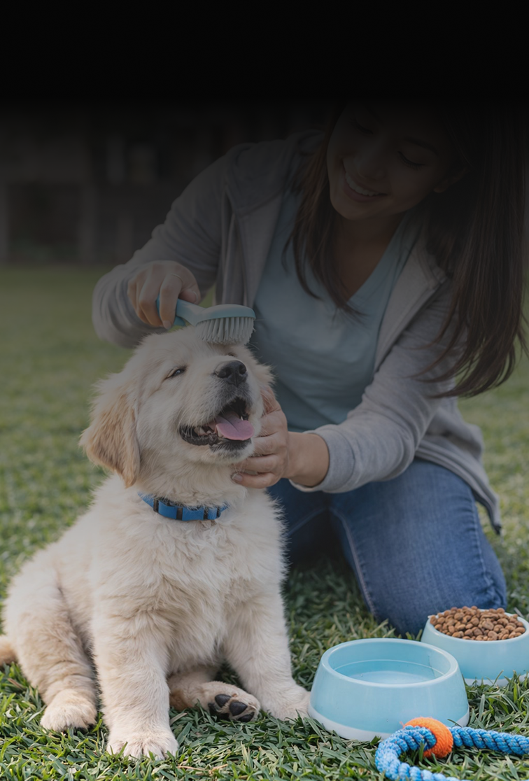 Pet Care
